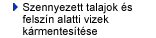 Szennyezett talajok és felszín alatti vizek kármentesítése